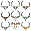 Set colorful bull skulls illustrations diverse color palette. Artistic collection buffalo skull drawings, bovine theme. Nine varied hues wildlife skull art, tribal decor elements isolated white