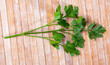 Sprig of fresh green parsley lying on a wooden surface. Close-up image