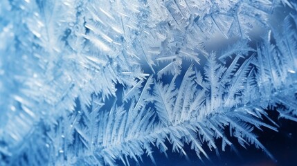 Poster - Intricate ice crystal formations