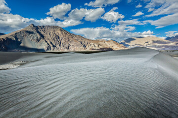 Wall Mural - Nubra Valley is a mesmerizing high-altitude desert region nestled in the Ladakh region of India | Leh Ladakh | India through my lens