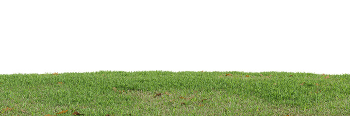 Wall Mural - Green grass on transparent background 3d rendering