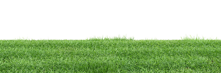Wall Mural - Green grass on transparent background 3d rendering