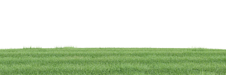 Wall Mural - Green grass on transparent background 3d rendering