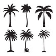 Diverse Tropical Palm Trees Set