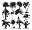 Diverse Silhouetted Palm Trees Set