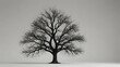 Depict a single tree with a solid white background ai_generated