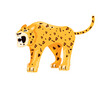leopard animal cartoon
