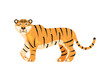 tiger animal illustration