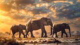 Fototapeta  - A family of elephants walking majestically across a vast savanna, emphasizing the importance of wildlife conservation.