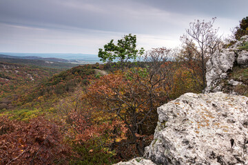 Wall Mural - Landscape in the mountains in autumn, rock in the foreground.