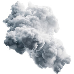 Wall Mural - cloud of smoke