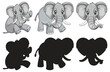 Collection of elephants in various poses