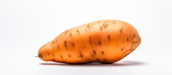 Poster - A sweet potato featured in a copy space image against a white background