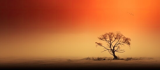 Aufkleber - Nature provides an abstract and captivating backdrop for various subjects and themes The copy space image allows for creative use of negative space and adds depth to the composition