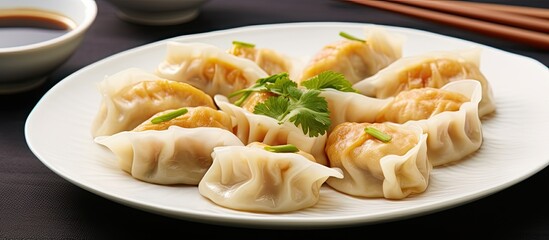 Leinwandbilder - Traditional Chinese dim sum dumplings served on a white plate with an Asian aesthetic The composition is visually appealing providing a visually pleasing copy space image