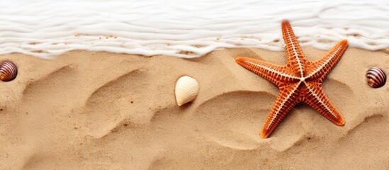 Aufkleber - A starfish is seen in a border design on a sandy beach with a copy space image It is isolated against a white background representing a vacation concept