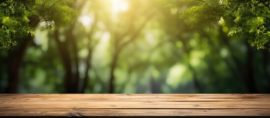 Aufkleber - a rustic wooden plank blending into the lush green forest with a soft background of light bokeh and 