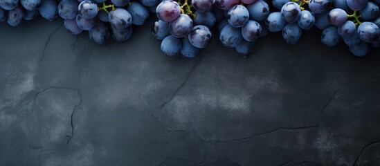 Canvas Print - The top view shows a collection of plump ripe blue grapes resting on a dark scratched surface in this copy space image