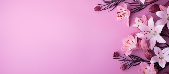 Poster - On a pink paper background there is a lovely arrangement of pink flowers creating a beautiful and harmonious copy space image