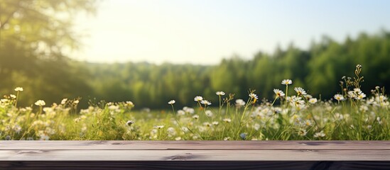 Poster - A table top with a blurred background of nature creates a serene and picturesque copy space image