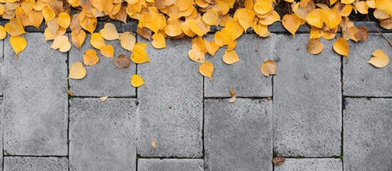 Canvas Print - A top down perspective of an autumn sidewalk with yellow fallen leaves on a modern pathway showcasing gray concrete paving stones and a view of autumn leaves from above 120 characters