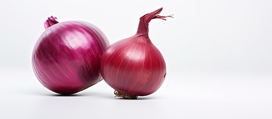 Poster - A red onion stands alone on a white background in this copy space image