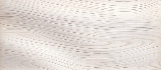 Poster - Design background with a soft surface pattern of white colored wood providing texture and a copy space image