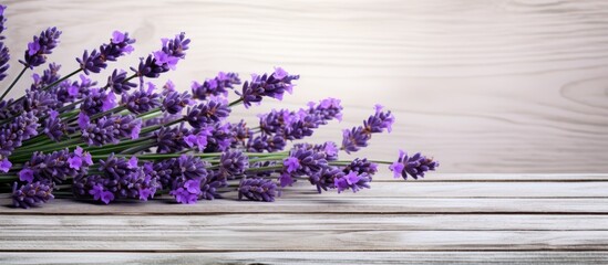 Poster - A copy space image showcases a lavender flower in vibrant purple beautifully displayed on a rustic white wooden surface