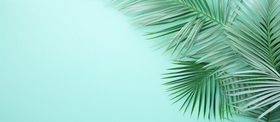 Fototapete - Top view of a summer themed flat lay with white palm leaves on a refreshing mint background The composition evokes the essence of summer offering a copy space image