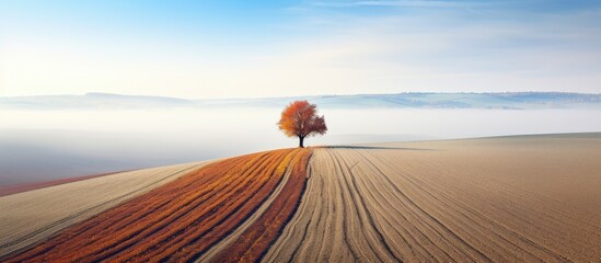 Poster - Aerial shot of autumn fields capturing the serene beauty of the landscape. Creative banner. Copyspace image