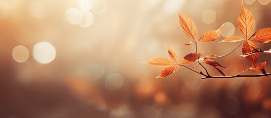 Aufkleber - An abstract fall concept photo with a brown leaves background capturing the essence of autumn The image offers ample copy space for creative use