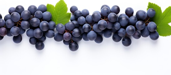Poster - Top view of blue grapes arranged in a flat lay pattern on a white background providing ample copy space for your text