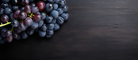 Poster - The top view shows a collection of plump ripe blue grapes resting on a dark scratched surface in this copy space image