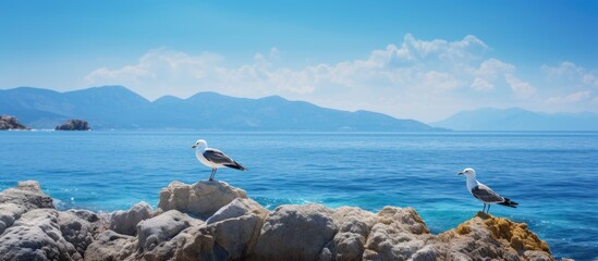 Wall Mural - A stunning seascape featuring a rocky mountain in the foreground with a bird gracefully perched in front The background showcases a mesmerizing expanse of deep blue ocean providing the perfect space