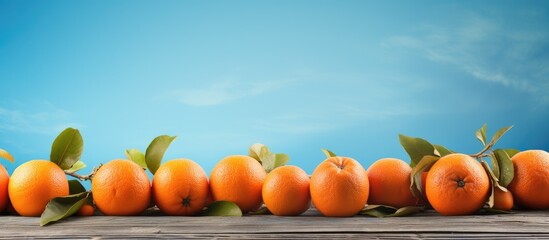 Poster - The vibrant orange fruits are displayed on a rustic wooden table creating a captivating contrast against the serene blue backdrop in the copy space image