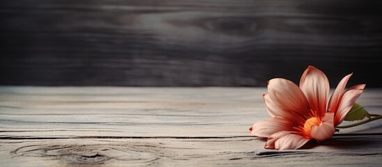 Poster - Flower displayed against a rustic wooden backdrop with plenty of empty space for text or graphics in the image. Creative banner. Copyspace image