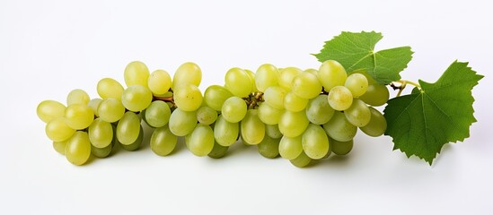 Poster - A copy space image featuring green grapes on a white background