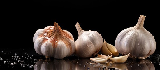 Aufkleber - A dark background highlights the vibrant aroma of fresh garlic leaving ample room for additional text or graphics in the image