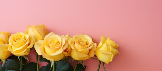 Poster - A copy space image showcasing pink roses displayed elegantly against a vibrant yellow wall
