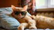 Gatto che indossa occhiali da sole sdraiato su un cuscino