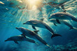 Delfini che nuotano felici, vista da sott'acqua