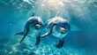 Due delfini che nuotano felici, vista da sott'acqua