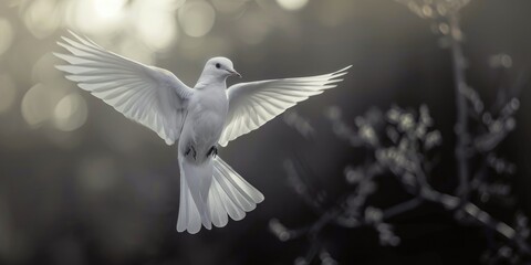 Poster - A white bird soaring through the air, suitable for various projects