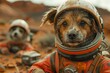 Dog wearing space suit and helmet