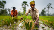 © Napat.T - Two men are working in a field of rice