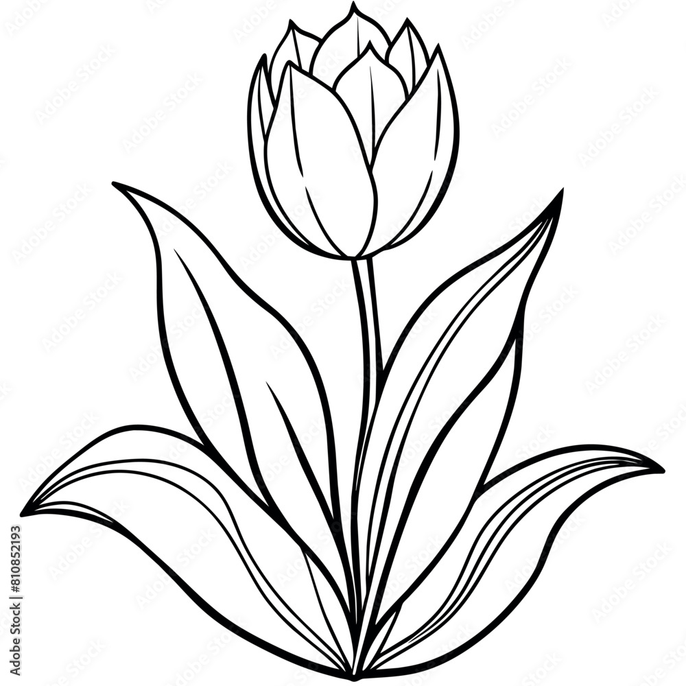 Tulip Flower outline illustration coloring book page design, Tulip ...