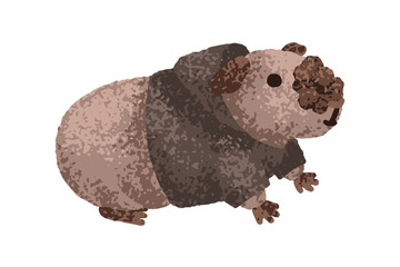 Poster - Guinea pig in hoody. Cute cavy. Funny kawaii rodent pet with soft fur. Adorable little animal in clothes, comic kids style. Cuddly character. Flat vector illustration isolated on white background