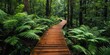 © Svitlana - Long narrow boardwalk in lush forest