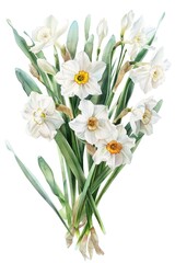 Poster - A bunch of white flowers with green stems. Perfect for floral arrangements
