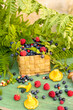 Various forest wild mushrooms and berries with natural elements on a rough wooden background.